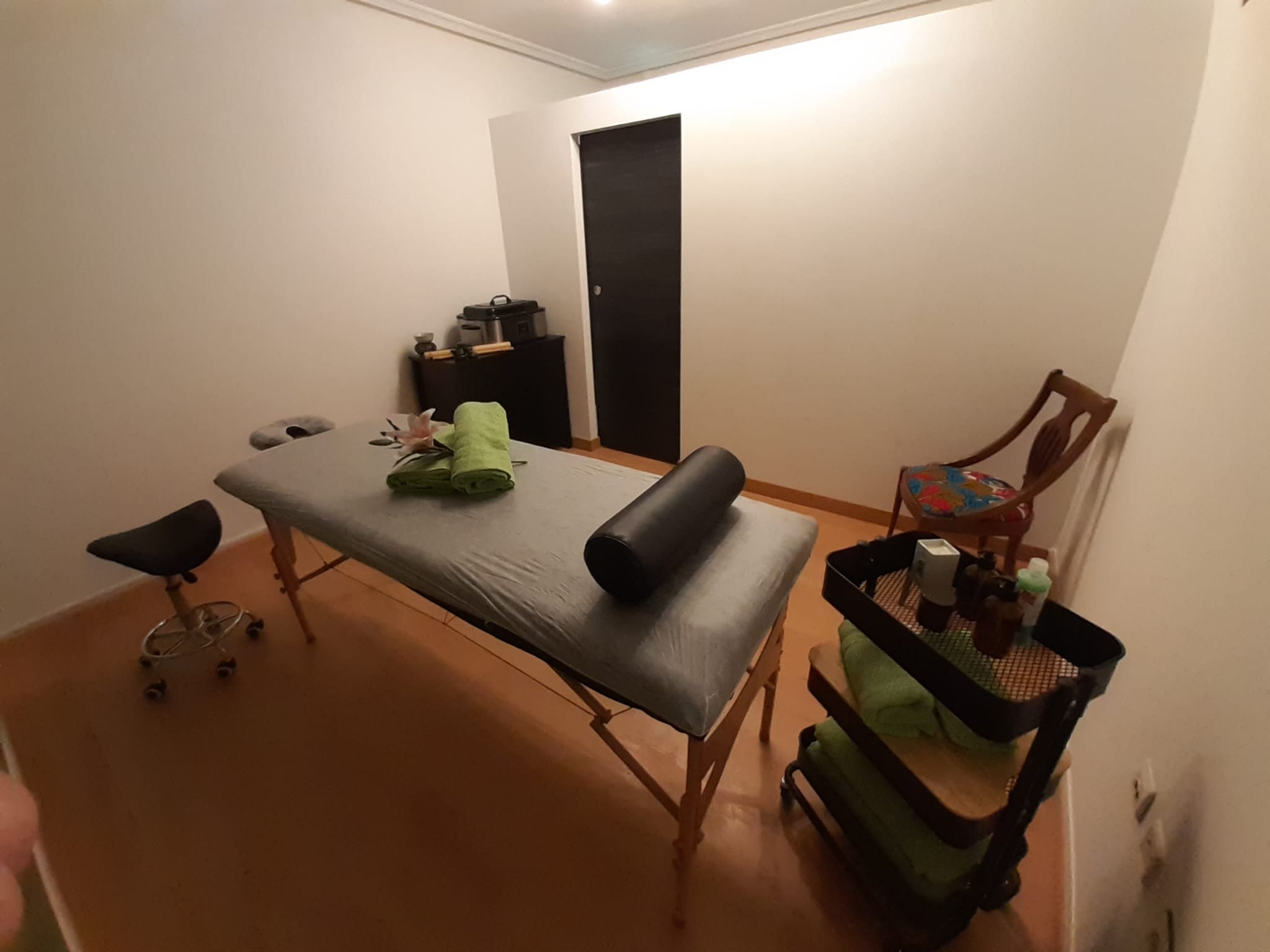 Terapias naturales y masajes de todo tipo en Asturias